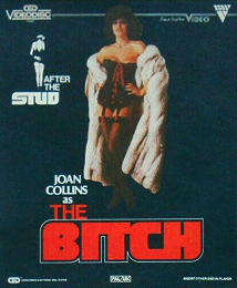Coverscan of The Bitch