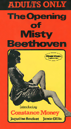 Coverscan of The Opening of Misty Beethoven