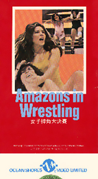 Coverscan of Amazons in Wrestling