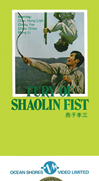 Coverscan of Fury of Shaolin Fist